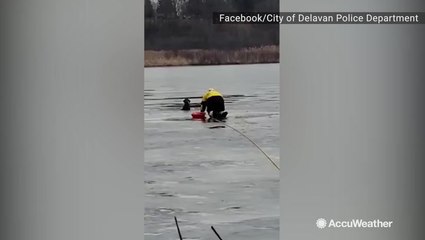 Dog gets rescued after falling through ice on Christmas eve