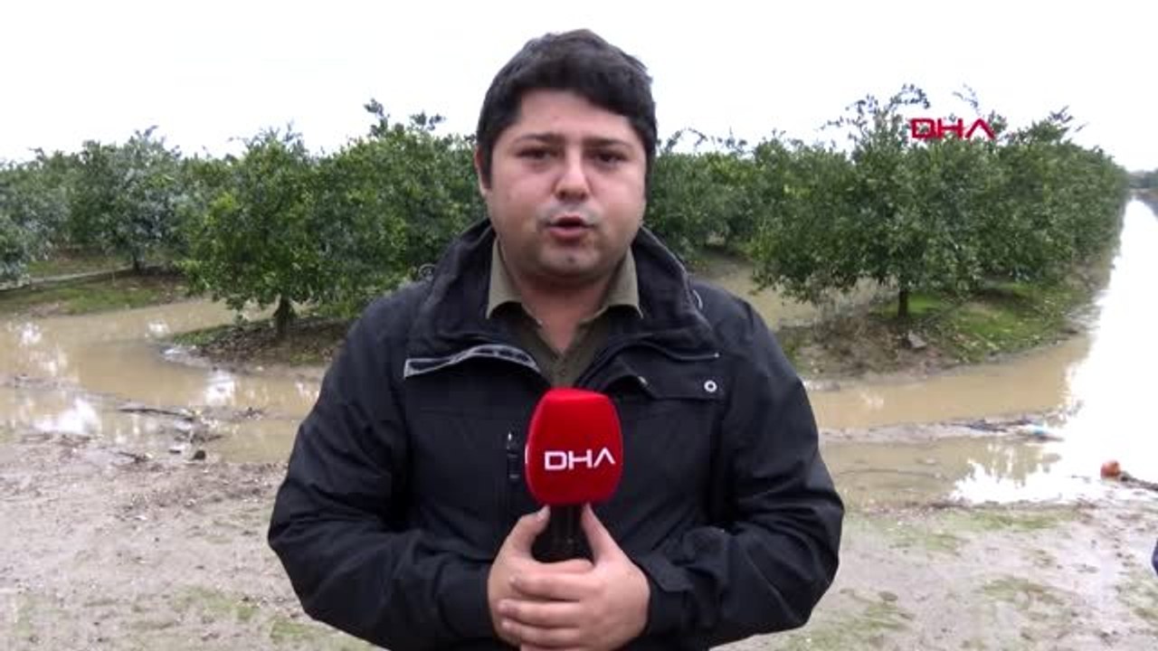 Adana sele teslim oldu