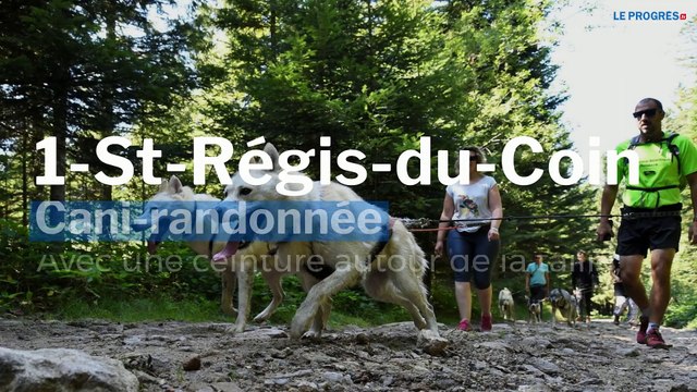 Vos 8 bons plans loisirs du 28 et 29 décembre dans la Loire et Haute-Loire