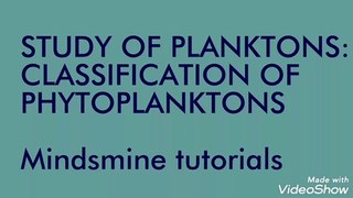 Classification of Phytoplanktons -Study of Planktons Zoology B.sc M.sc NEET