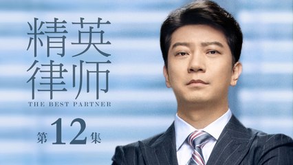精英律師 12 |  The Best Partner 12（靳東、藍盈瑩、孫淳等主演）