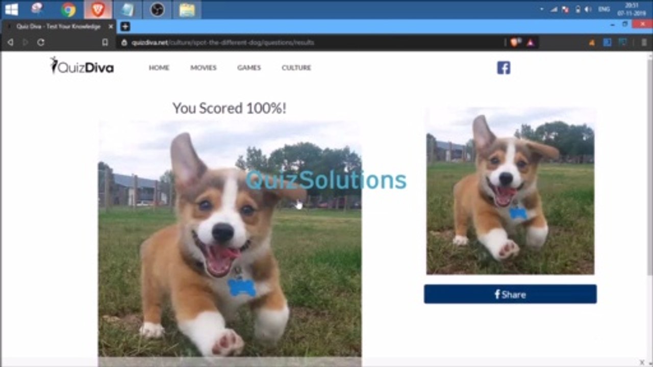 Quiz Diva Spot the Difference Puppy Spot the Different Dog Answers 15 Questions Score 100% Video QuizSolutions