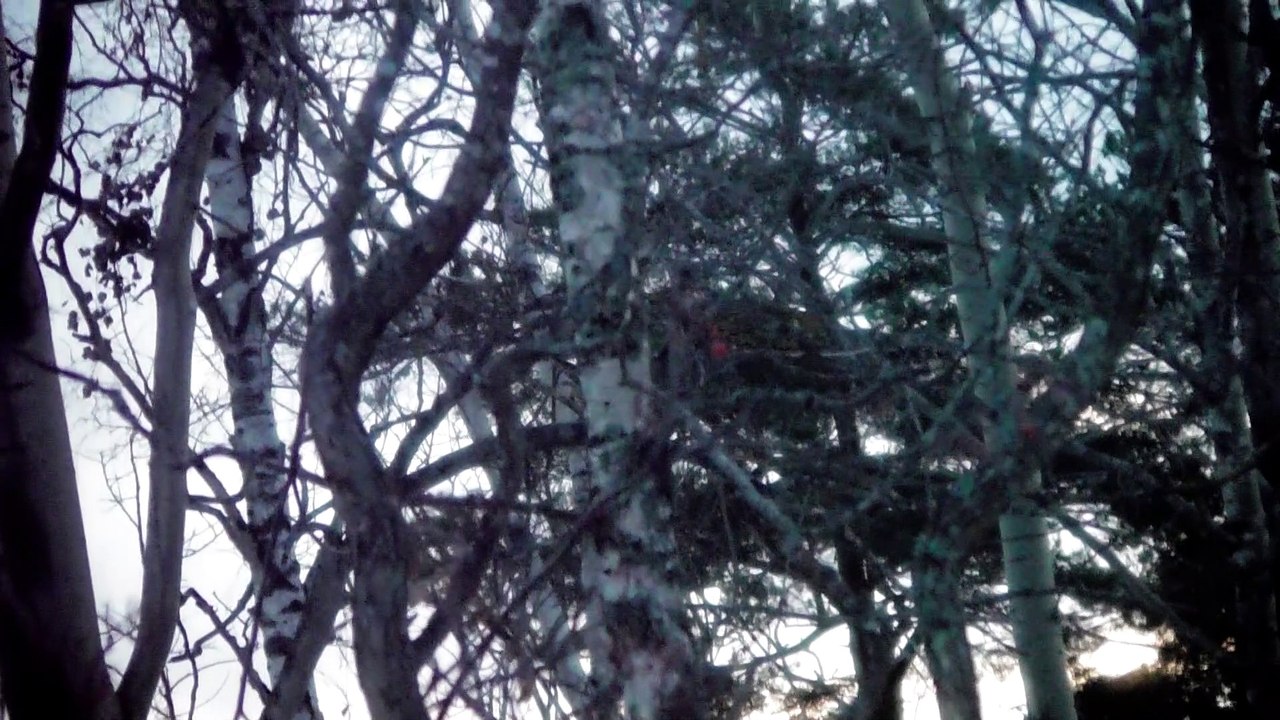 Dec 5 2019 DL2