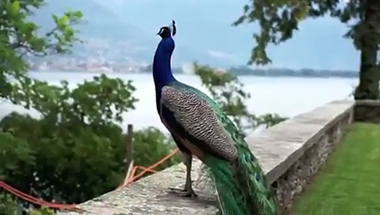 Kudrat ki sundarta