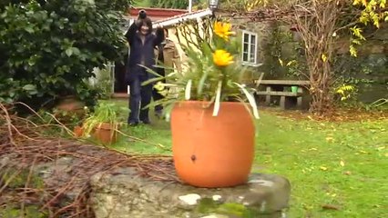 Dos peregrinas japonesas adoptan a un perro abandonado que las acompañó durante el Camino de Santiago