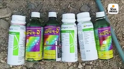 બનાસકાંઠાથી ઘૂસેલા તીડ સાબરકાંઠામાં પ્રવેશતા કચ્છથી લઈ ઉત્તર ગુજરાત પ્રભાવિત, 5 જિલ્લામાં તીડનું આક્રમણ