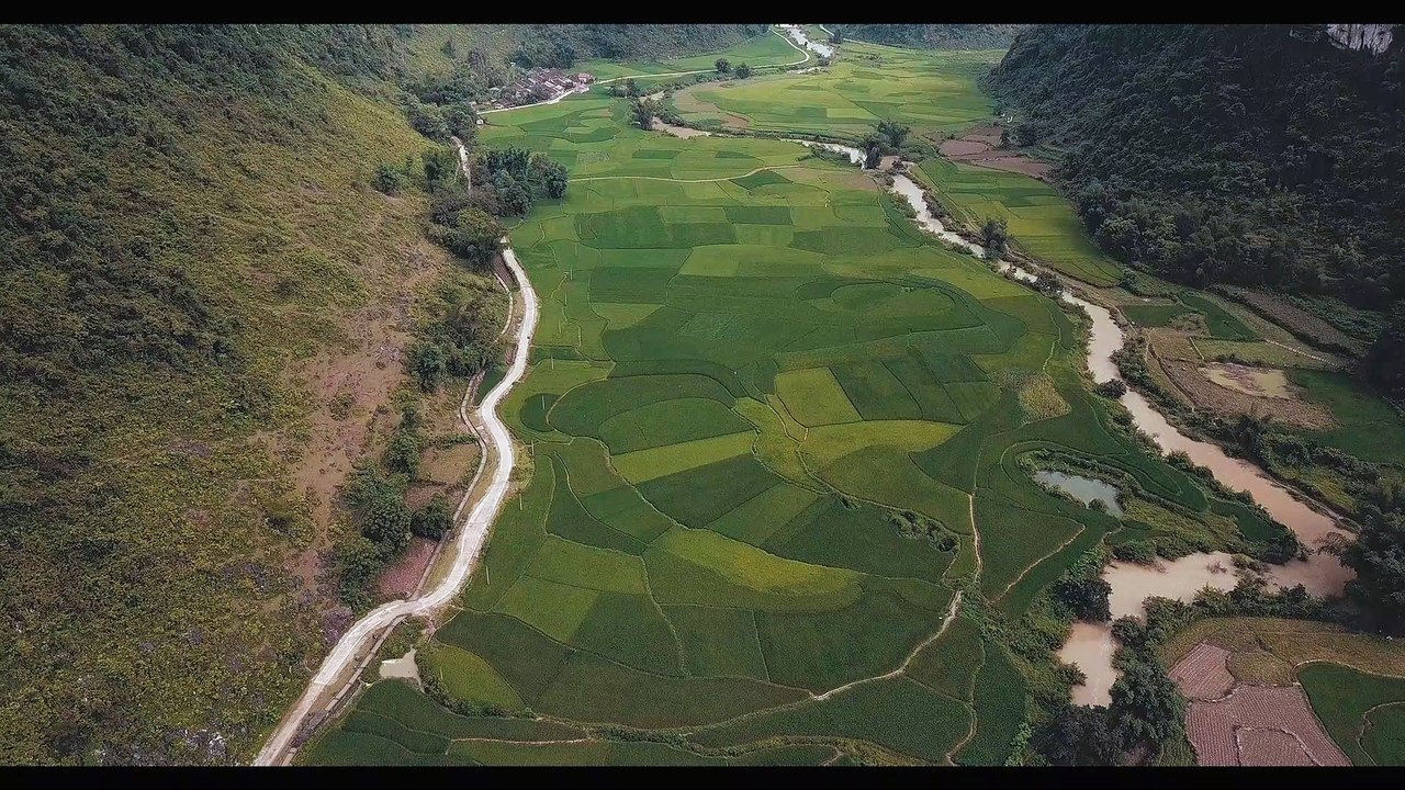 Taryn Elliott - Rice Farming In Mountains Valleys - Nature (No Copyright Video 98) [4K]