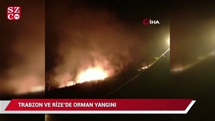 Trabzon ve Rize’de orman yangını