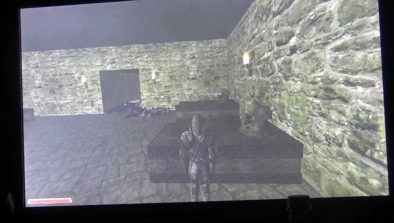Bug