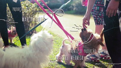 Táticas para Convencer uma Garota de que Você Veio de Outro Planeta