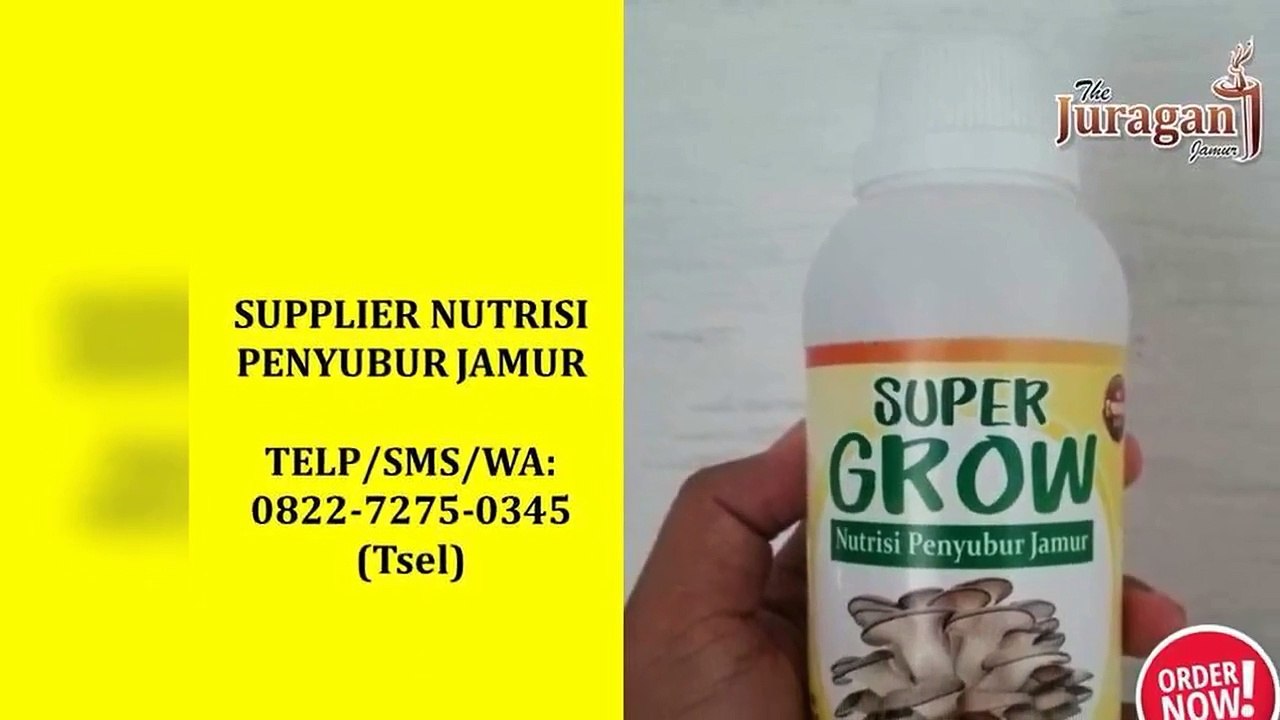 BERKHASIAT! TELP/SMS/WA : 0822-7275-0345 (Tsel), Jual Nutrisi Alami Jamur Tiram Denpasar Bali,