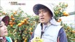 [TASTY] Chemical pesticides 0% 'green' fruit?, 생방송 오늘 아침 20191226