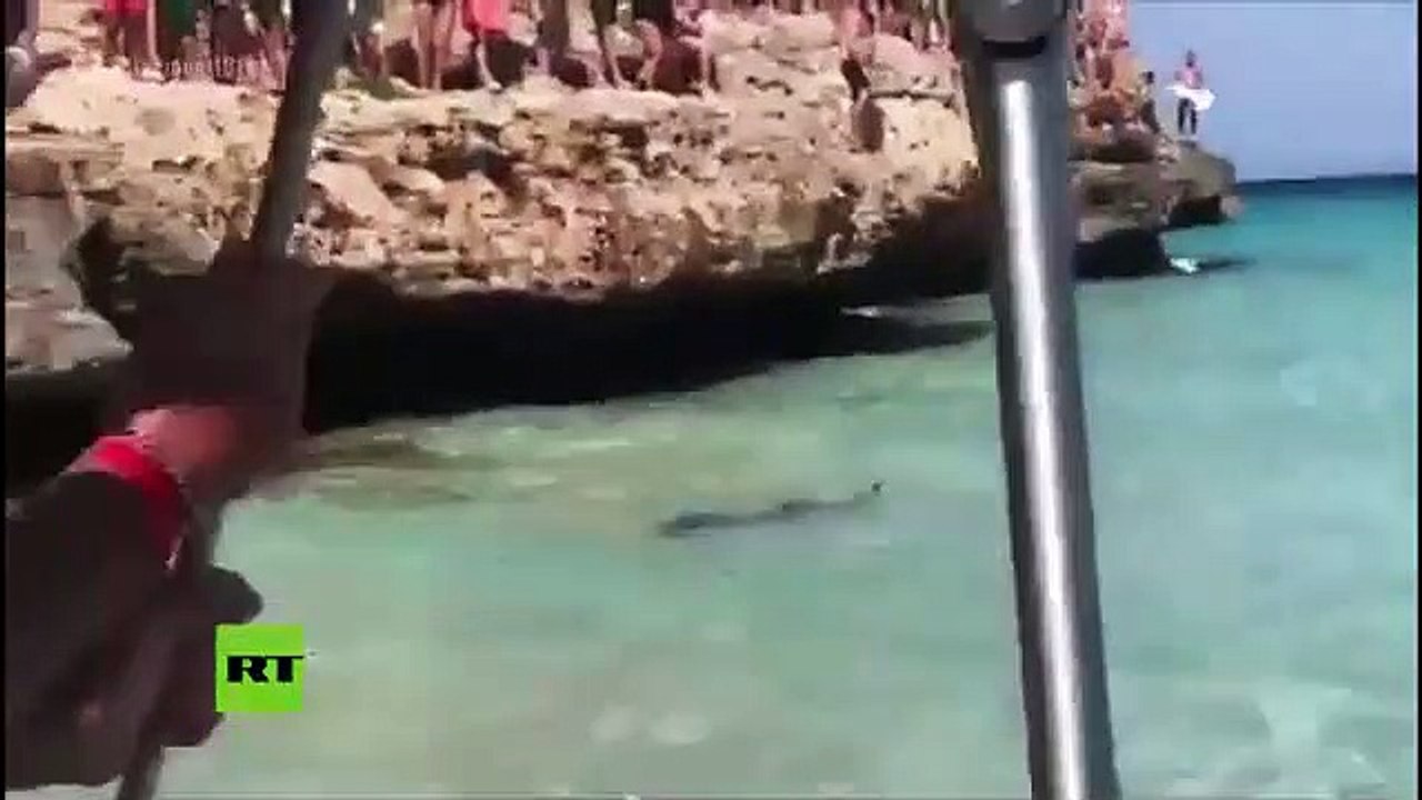 Cierran esta playa española por la 'visita' de un tiburón moribundo