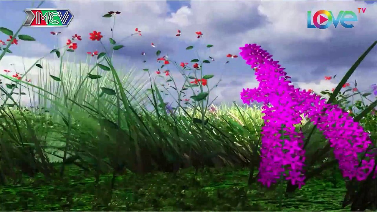 VỢ CHỒNG SON - VCS #236FULL - Đôi vợ chồng lấy nước mắt khán giả và hạnh phúc viên mãn đầu năm mới