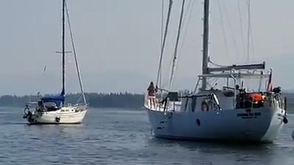 Este 'ladrón' travieso roba un barco de una pareja de Canadá y ni siquiera lo pueden denunciar