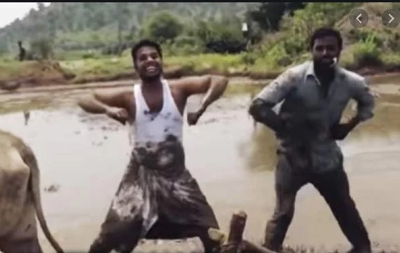 Estos granjeros indios se salen llevando el reto viral 'Kiki Challenge' a otro nivel