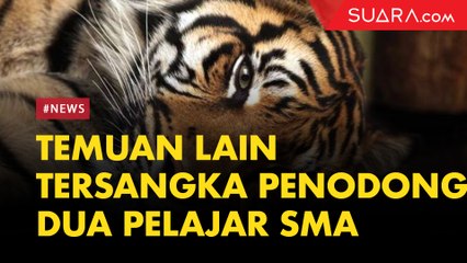 Temuan Opsetan Hewan Langka di Rumah Tersangka Penodong Dua Pelajar SMA