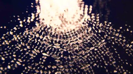 the Electric drone  sunn o)))