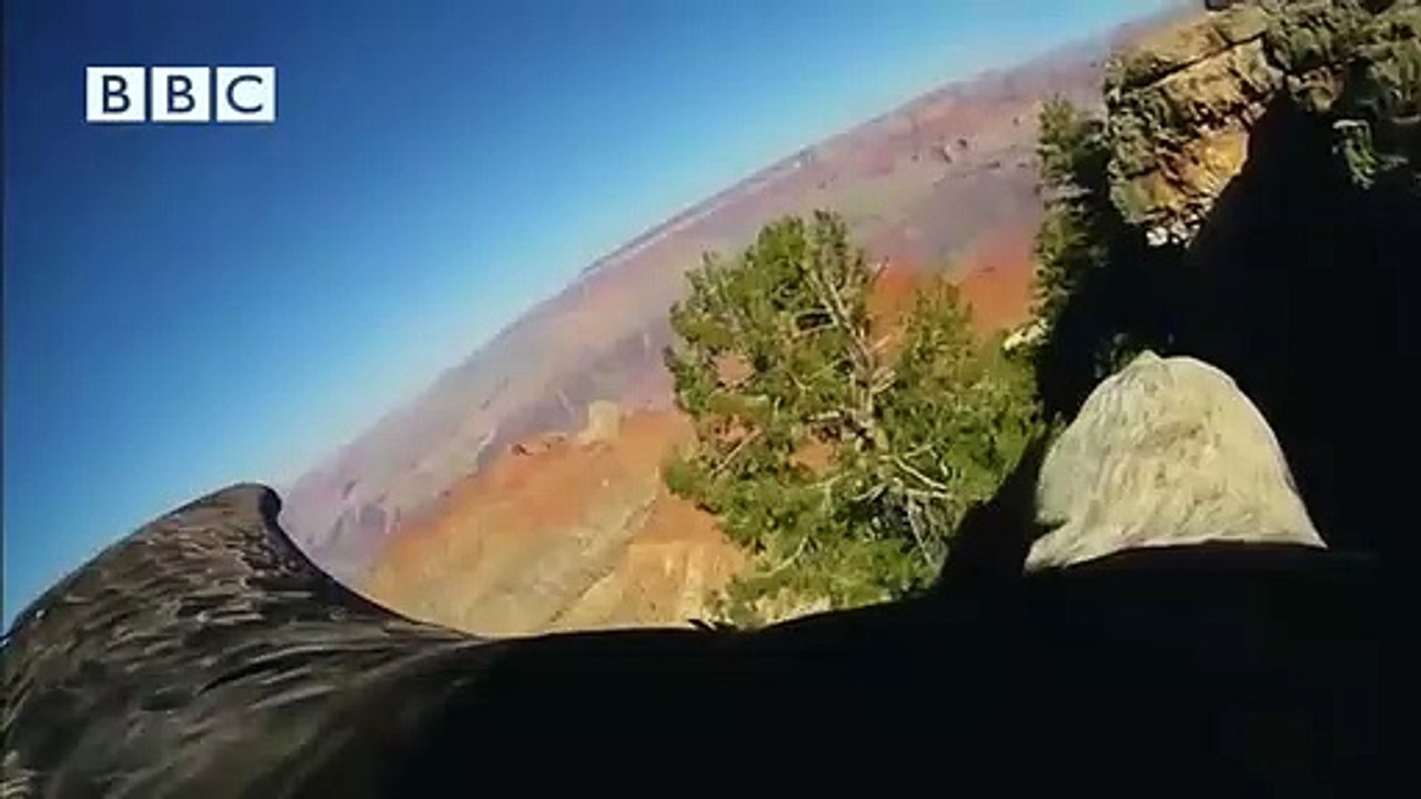 BBC's Earthflight - Trailer