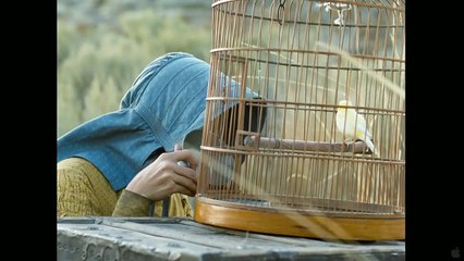 Meek's Cutoff Official Trailer 2011 HD