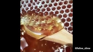 Your Daily Dose of Satisfying Videos
