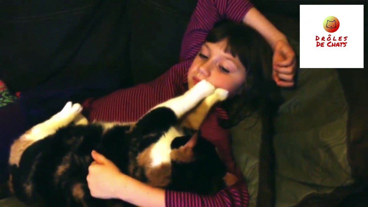 COMPILATION VIDEO CHATS
