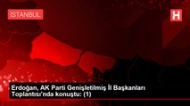 Erdoğan, AK Parti Genişletilmiş İl Başkanları Toplantısı'nda konuştu: (1)