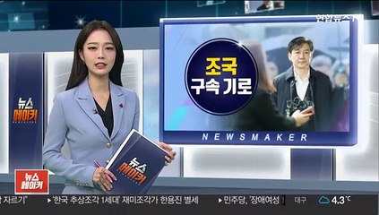 [녹취구성] 조국 측 "검찰, 감찰중단·증거인멸 프레임"