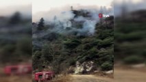 Rize'nin Ardeşen ilçesindeki örtü yangını 3 gündür aralıksız devam ediyor