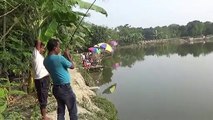 big rohu fish catching big rohu fish