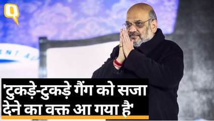 Tải video: CAA Protest पर बोले Amit Shah: Delhi को अशांत करने वालों को यहां के लोग दंड दें | Quint Hindi