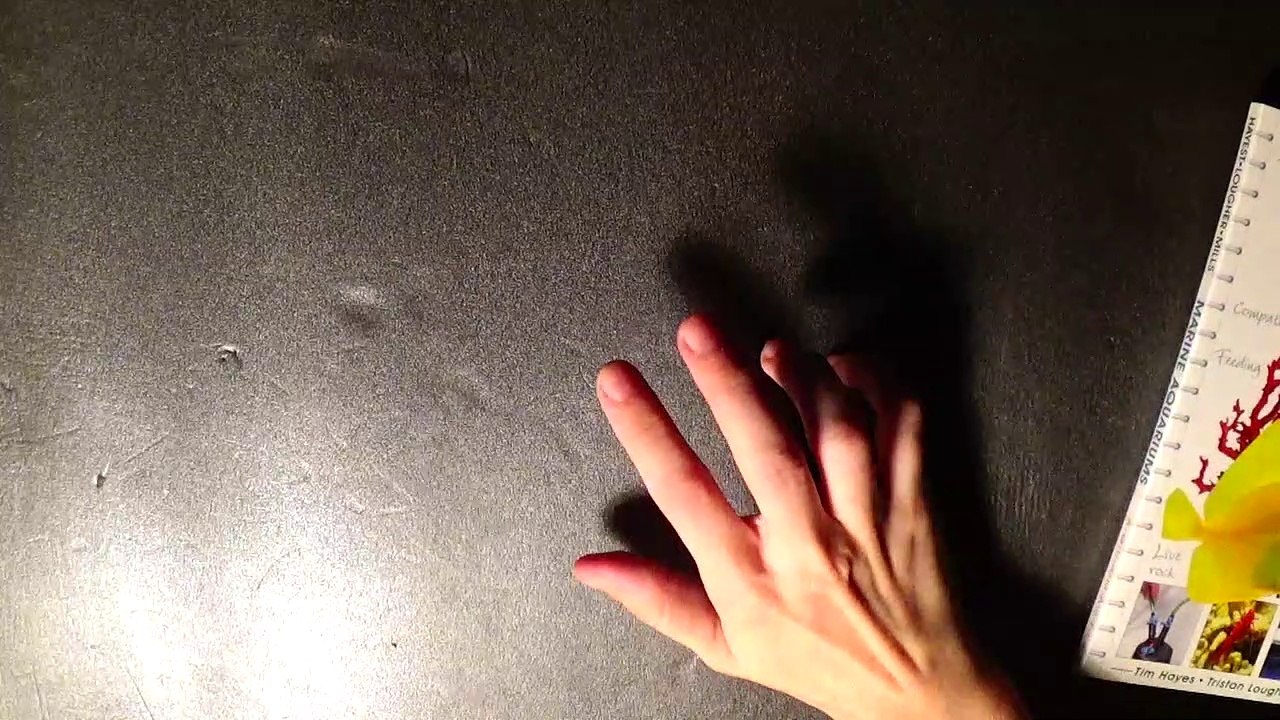 ASMR Flipping through Book 1