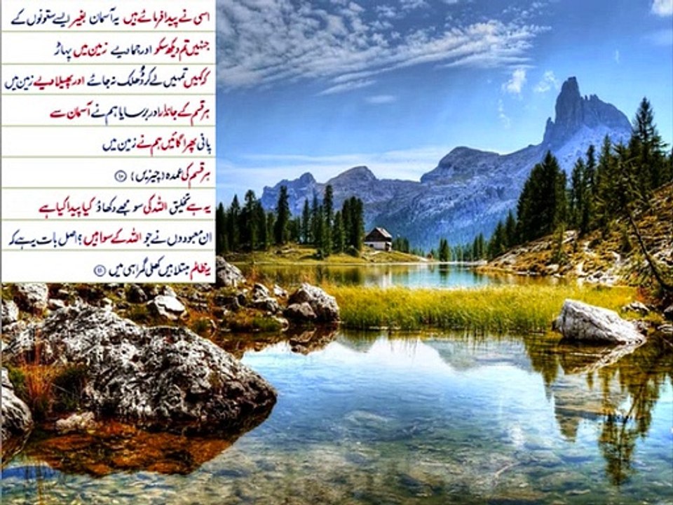 Physics in Urdu class 9 Unit 2.16,  Speed-time graphs
