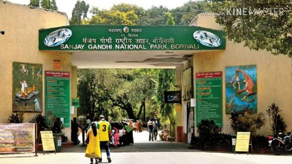 Sanjay ghadhi national parks || latest awesome place