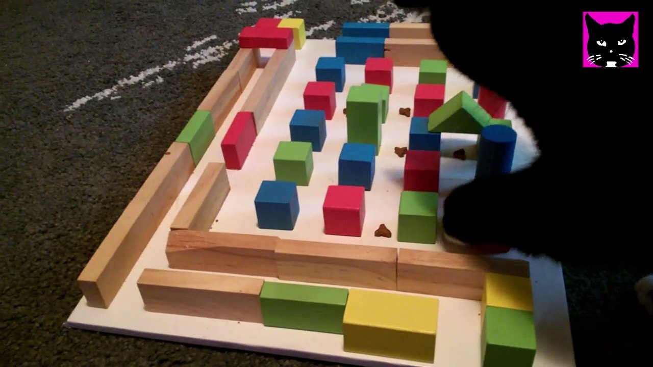 Katze Luzi und ihr Fummelbrett