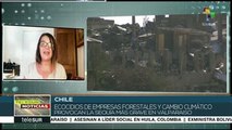 teleSUR Noticias: Denuncian intento de invasión de tierras en Bolivia