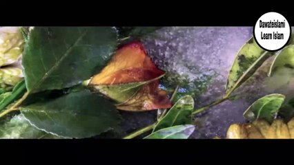 Hikayat - Soora e Yaseen Ki Barkat