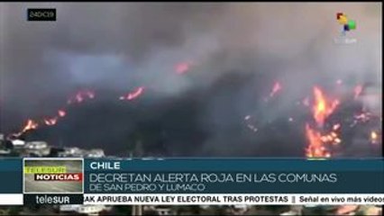 Tải video: Incendios forestales en Chile encienden la alerta roja