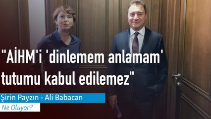 "AİHM'i 'dinlemem anlamam' tutumu kabul edilemez"