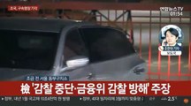 '감찰 무마 의혹' 조국 구속영장 기각