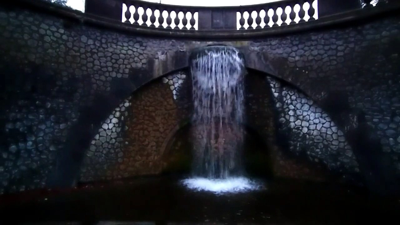 Rheinaue, Bonn (3-6)