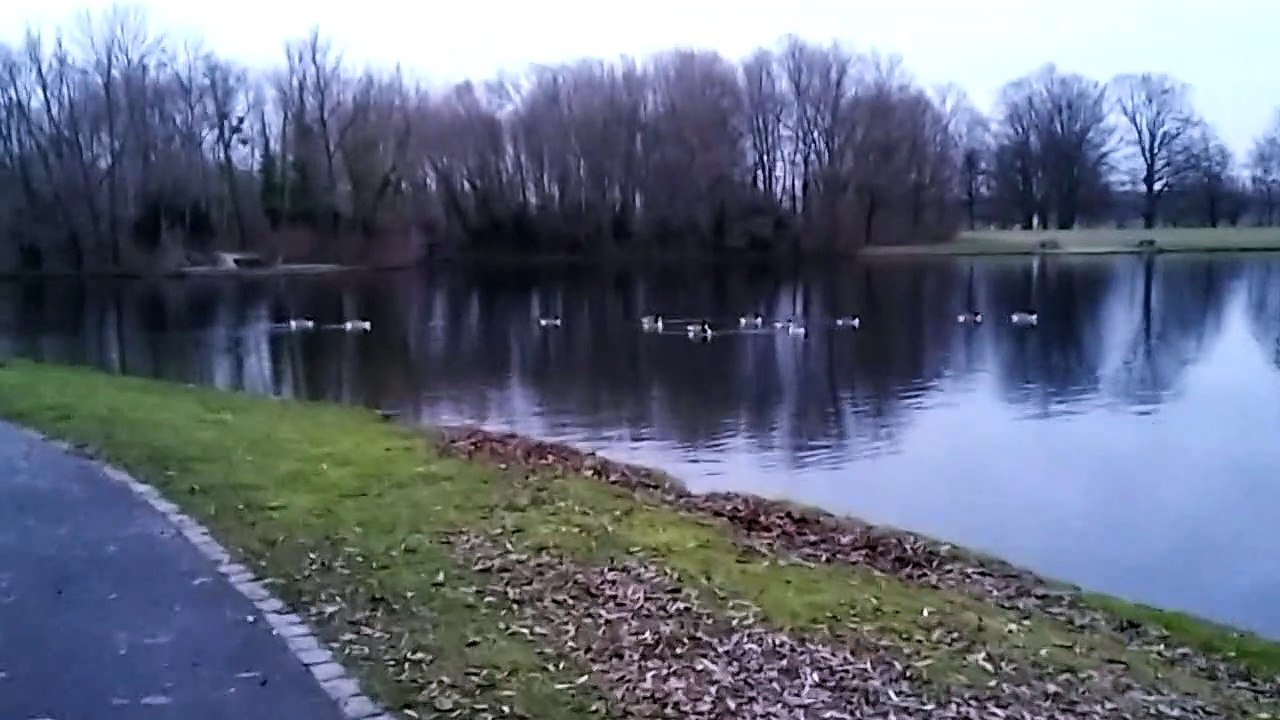 Rheinaue, Bonn (4-6)