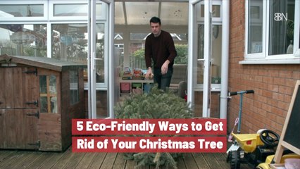 Getting Rid Of The Christmas Tree