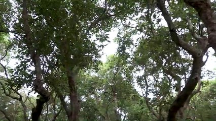 Le Goût du secret Film Documentaire