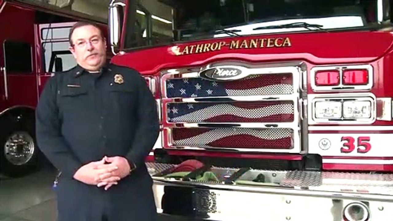 Dog rescued after chasing cat up tree