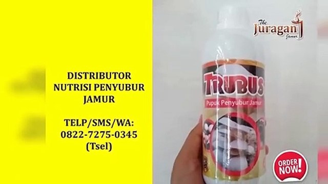 MANJUR! TELP/SMS/WA : 0822-7275-0345 (Tsel), Grosir Suplemen Penyubur Jamur Tiram Wonogiri Sukoharjo
