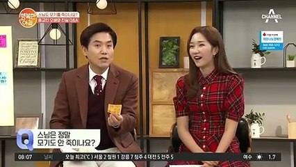 종교인 오해와 진실 Q&A "스님은 정말 모기도 안 죽이나요?"