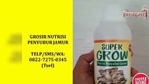 BERKUALITAS! TELP/SMS/WA : 0822-7275-0345 (Tsel), Jual Suplemen Penyubur Jamur Tiram Denpasar Bali,