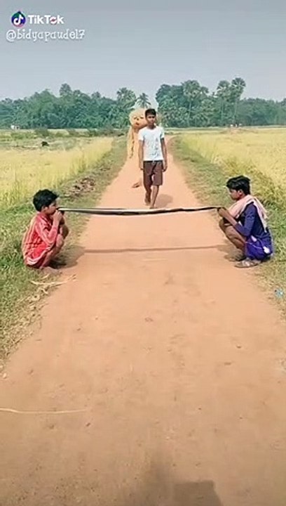 Mast comedy