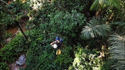 French expedition go looking for rare African butterfly